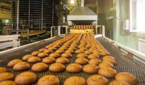 SEGUROS PARA LA INDUSTRIA DE LA  ALIMENTACION Y ALIMENTARIA