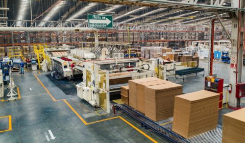 SEGUROS PARA LAS FABRICAS Y ALMACENES DE PAPEL Y CARTÓN