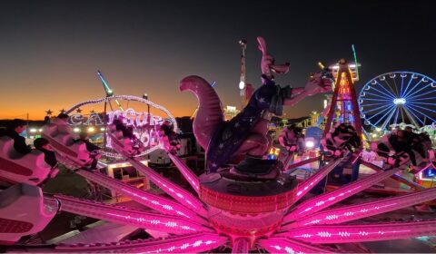 Seguros para el Canguro  de la feria   Responsabilidad Civil