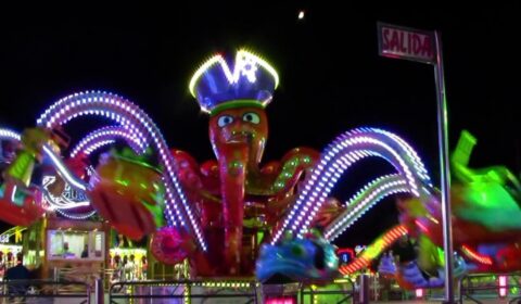 Seguros para el Pulpo de la feria   Responsabilidad Civil